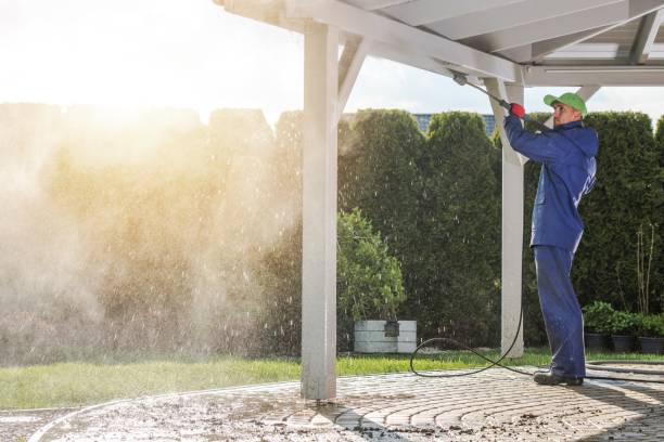 Best Sidewalk and Walkway Pressure Cleaning in Primera, TX