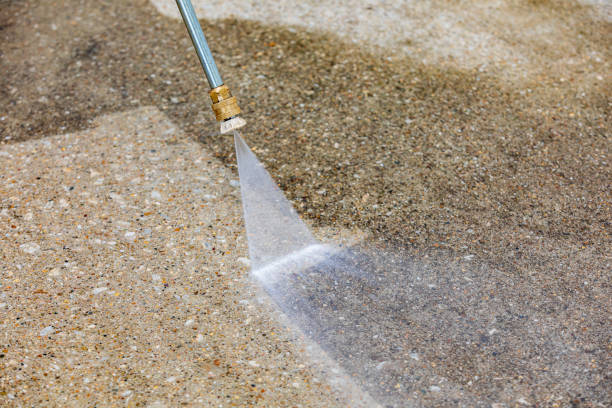 Best Concrete Surface Cleaning in Primera, TX