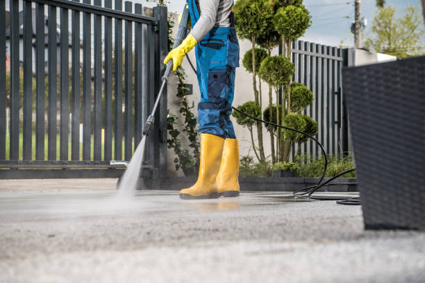 Best Gutter Cleaning and Brightening in Primera, TX